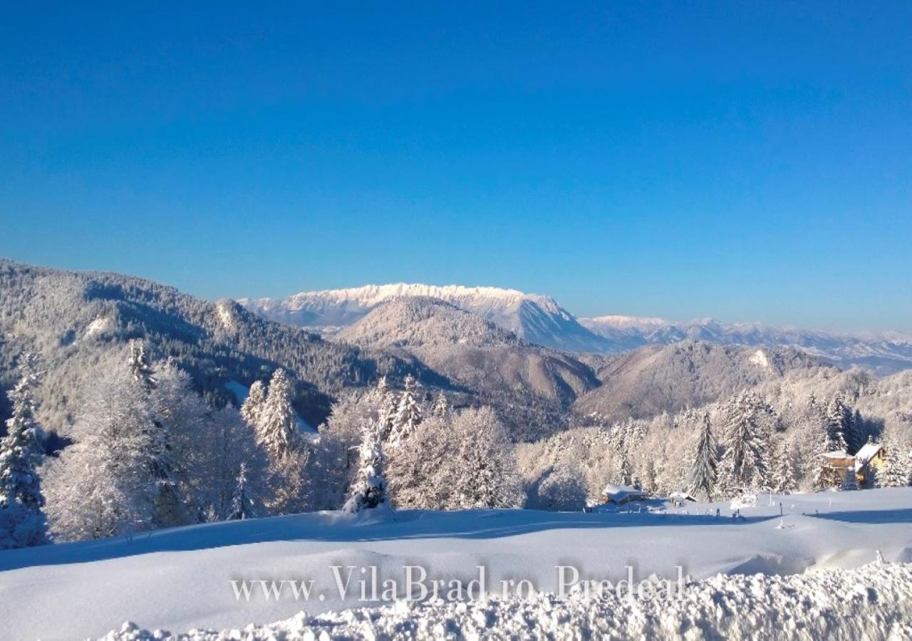 Vila Brad Predeal Dış mekan fotoğraf